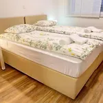 Stylish Retreat With Bbq And Modern Amenities Near Terme - Three Bedroom Apartment *