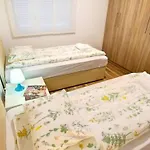 Stylish Retreat With Bbq And Modern Amenities Near Terme - Three Bedroom Dobova