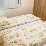 Stylish Retreat With Bbq And Modern Amenities Near Terme - Three Bedroom Dobova