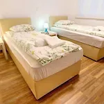 Apartment Stylish Retreat With Bbq And Modern Amenities Near Terme - Three Bedroom Dobova