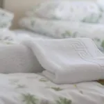 Stylish Retreat With Bbq And Modern Amenities Near Terme - Three Bedroom Apartment *